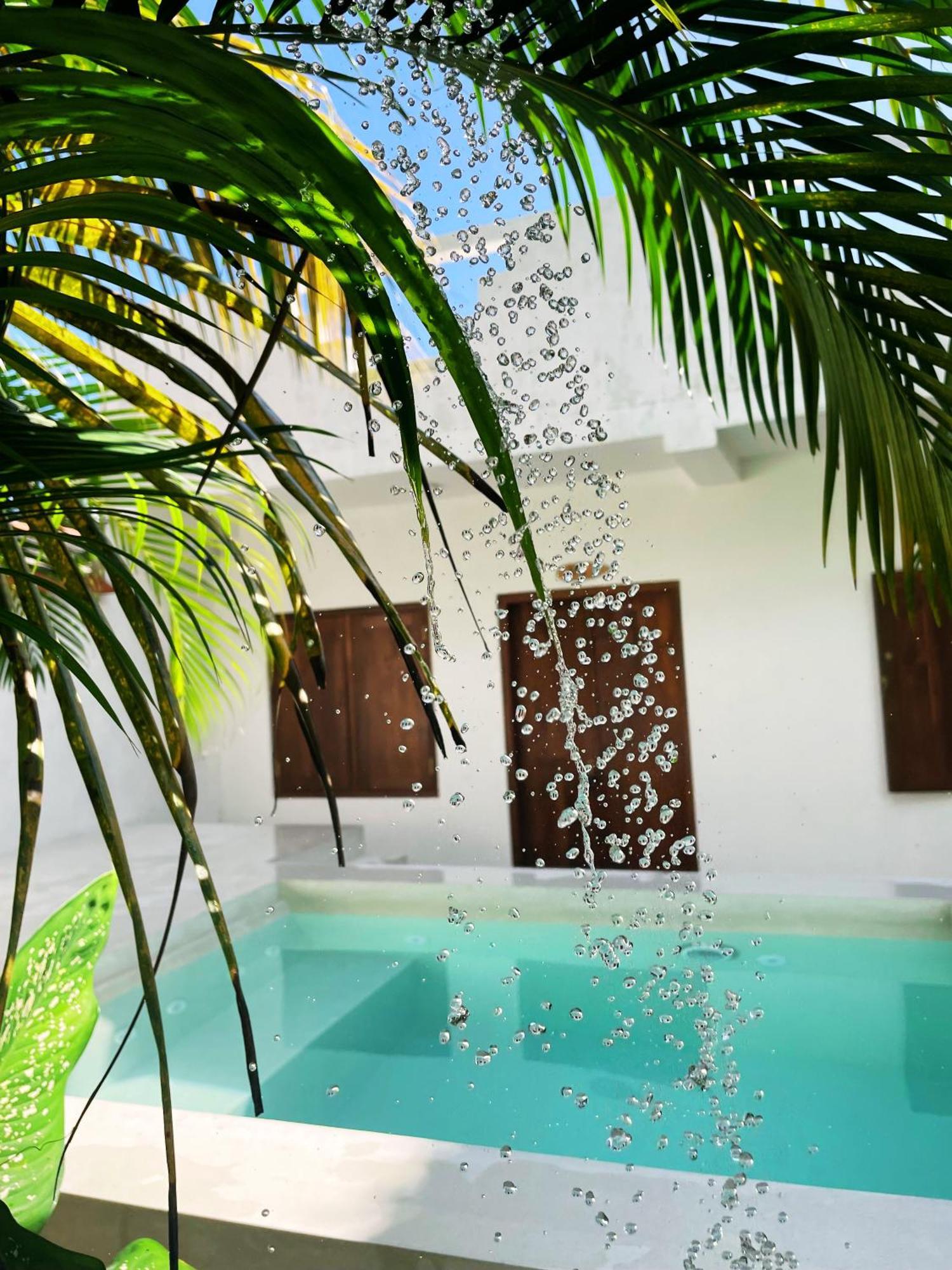 Sri Lanka Surf Villa Domus Graziella Ahangama Eksteriør billede